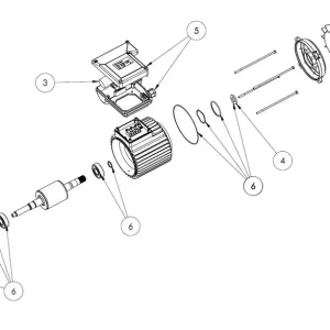Ersatzteile für Sta-rite Motor ab 01-2021 Preisknaller